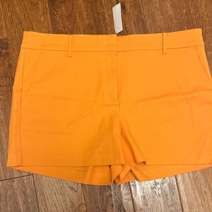 LOFT Riviera Shorts Size 14